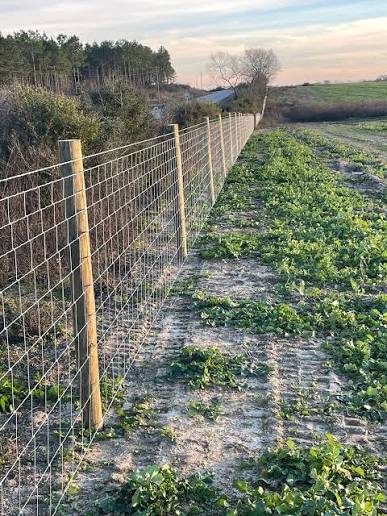Woven-Wire Field Fence — Farm & Field Fencing